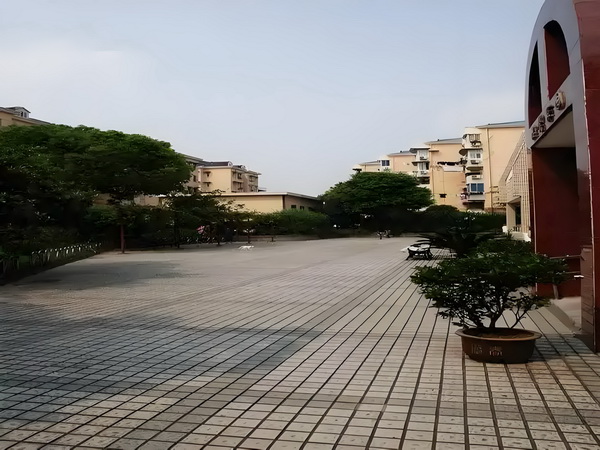 《你行！你上！》：弹琴吧！爸爸